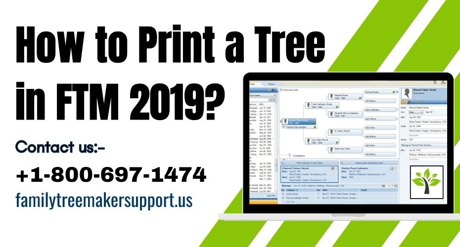 How To Print A Tree In Family Tree Maker 2019